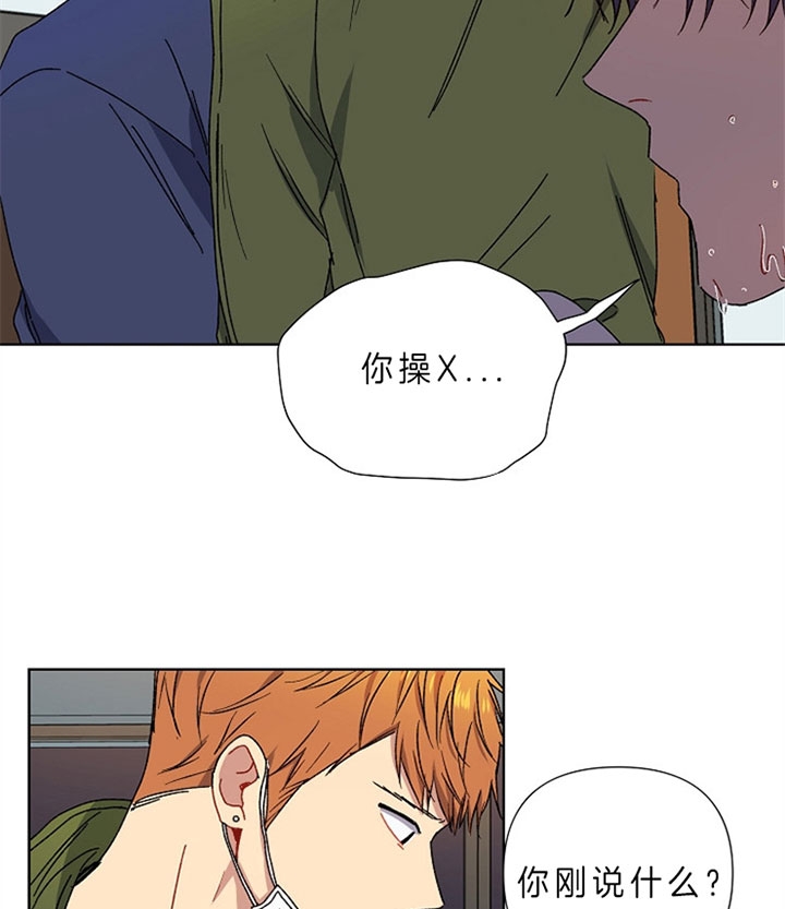 《kiss定律》漫画最新章节第14话免费下拉式在线观看章节第【11】张图片