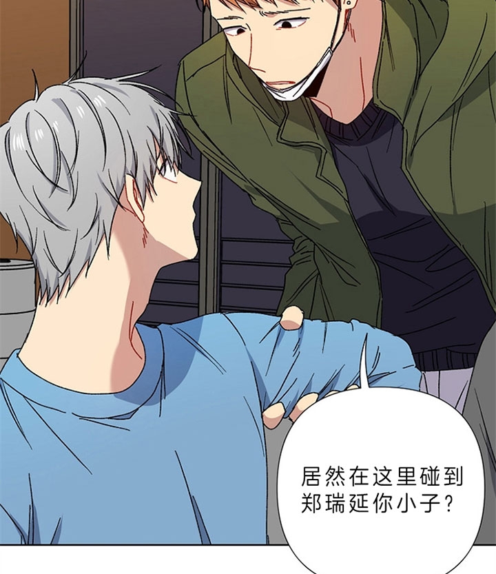 《kiss定律》漫画最新章节第14话免费下拉式在线观看章节第【15】张图片