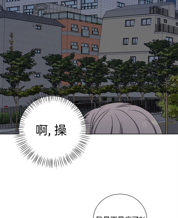 《kiss定律》漫画最新章节第23话免费下拉式在线观看章节第【12】张图片