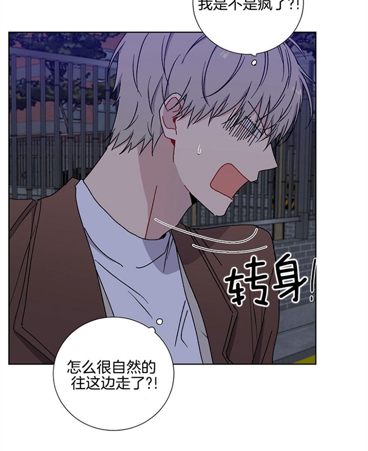 《kiss定律》漫画最新章节第23话免费下拉式在线观看章节第【13】张图片