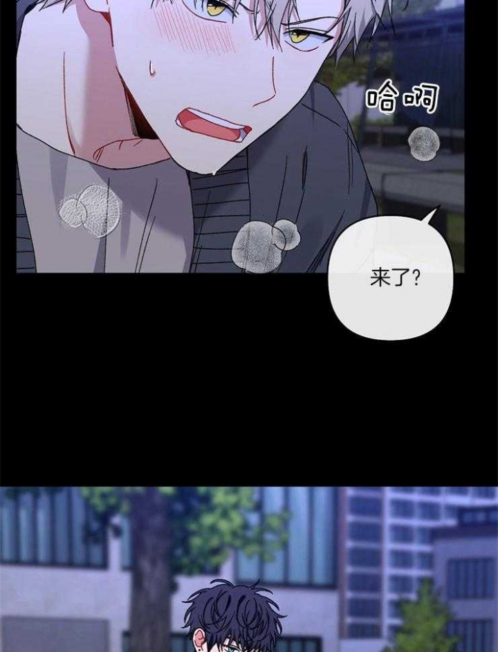 《kiss定律》漫画最新章节第49话免费下拉式在线观看章节第【4】张图片