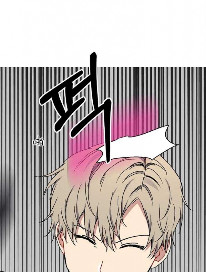 《kiss定律》漫画最新章节第37话免费下拉式在线观看章节第【15】张图片