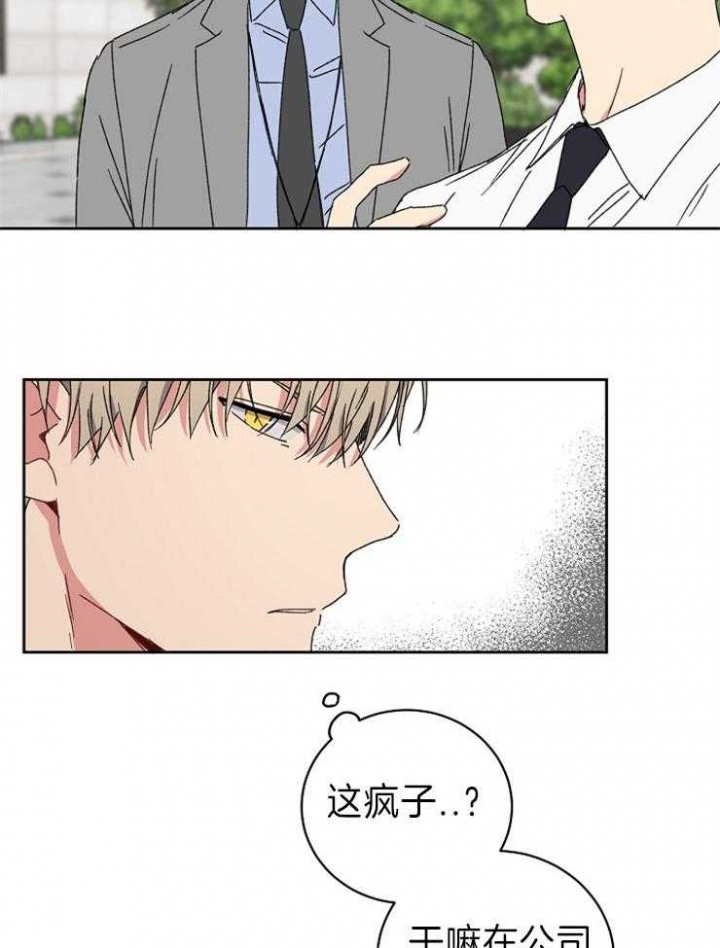 《kiss定律》漫画最新章节第56话免费下拉式在线观看章节第【36】张图片