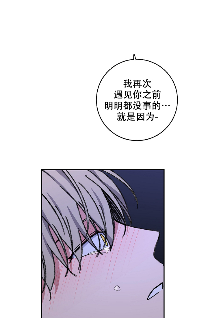 《kiss定律》漫画最新章节第99话免费下拉式在线观看章节第【14】张图片