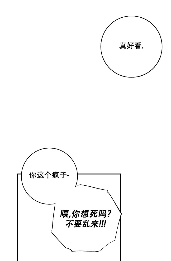 《kiss定律》漫画最新章节第105话免费下拉式在线观看章节第【3】张图片