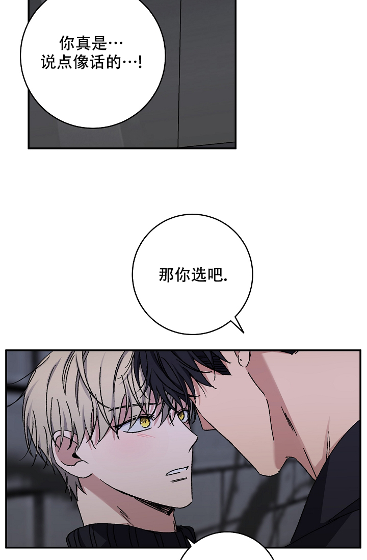 《kiss定律》漫画最新章节第103话免费下拉式在线观看章节第【61】张图片