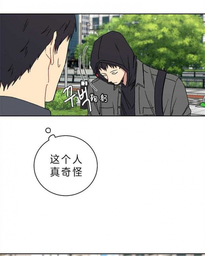 《kiss定律》漫画最新章节第33话免费下拉式在线观看章节第【16】张图片