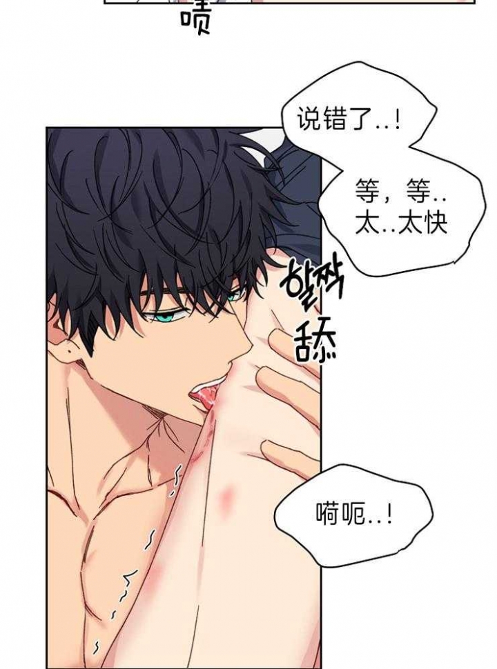 《kiss定律》漫画最新章节第56话免费下拉式在线观看章节第【19】张图片