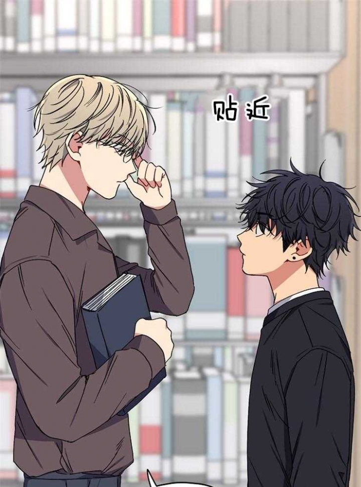 《kiss定律》漫画最新章节第81话免费下拉式在线观看章节第【23】张图片