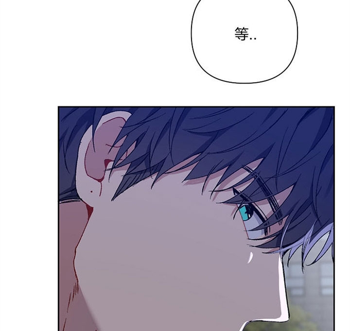 《kiss定律》漫画最新章节第25话免费下拉式在线观看章节第【20】张图片