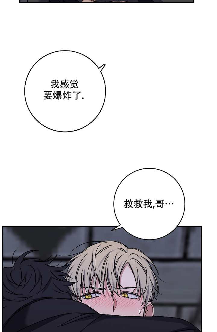 《kiss定律》漫画最新章节第103话免费下拉式在线观看章节第【58】张图片