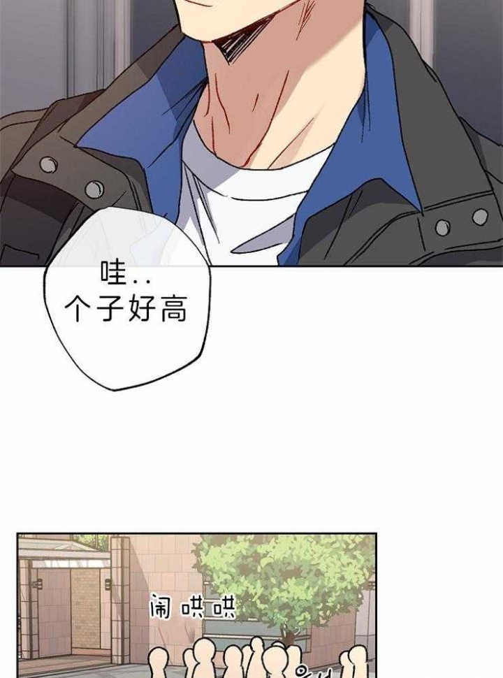 《kiss定律》漫画最新章节第35话免费下拉式在线观看章节第【8】张图片