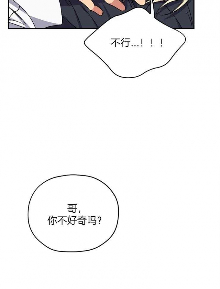 《kiss定律》漫画最新章节第79话免费下拉式在线观看章节第【20】张图片