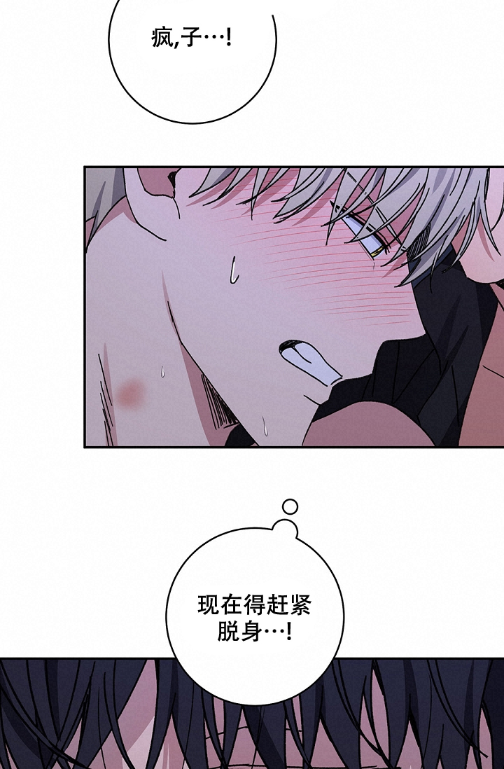 《kiss定律》漫画最新章节第98话免费下拉式在线观看章节第【70】张图片