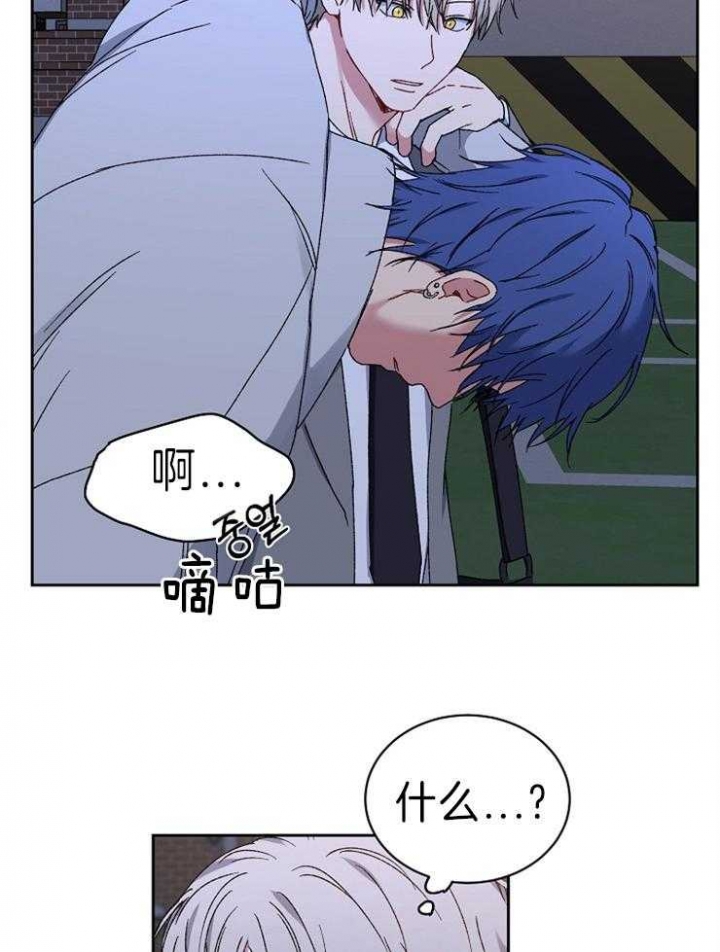 《kiss定律》漫画最新章节第58话免费下拉式在线观看章节第【28】张图片