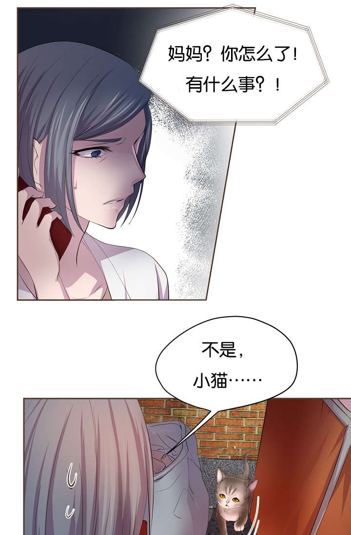 《升温》漫画最新章节第74话免费下拉式在线观看章节第【13】张图片