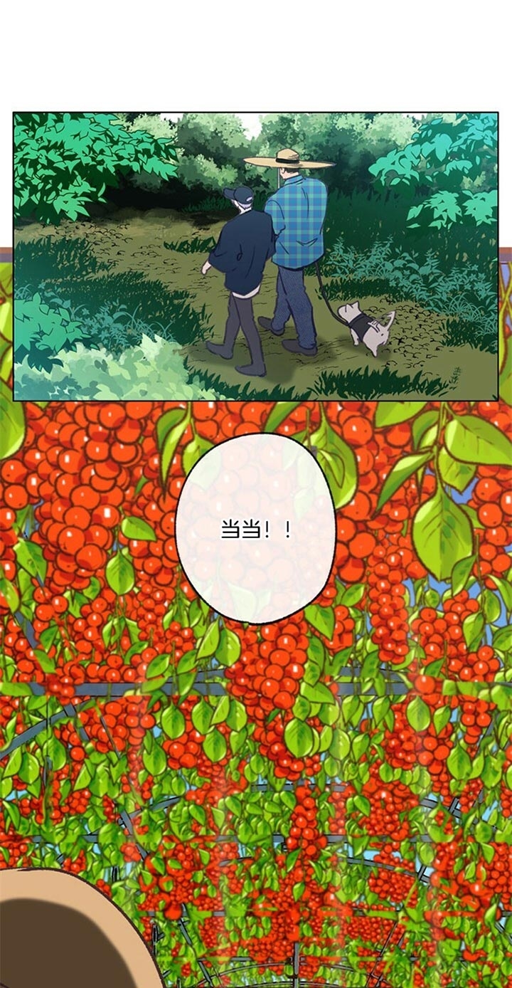 《恋与拖拉机少年》漫画最新章节第89话免费下拉式在线观看章节第【7】张图片