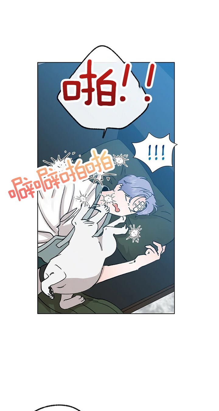 《恋与拖拉机少年》漫画最新章节第59话免费下拉式在线观看章节第【17】张图片