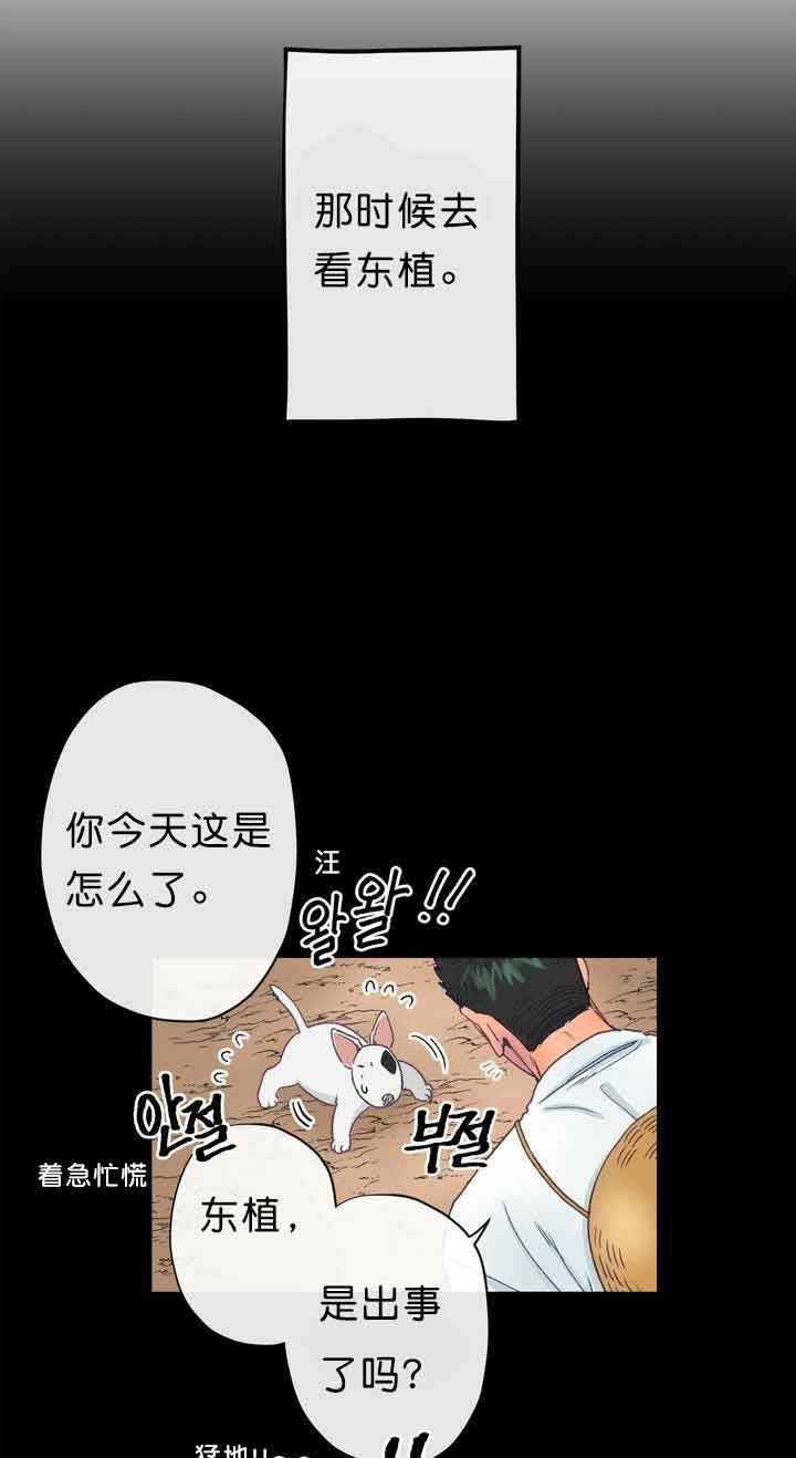 《恋与拖拉机少年》漫画最新章节第10话免费下拉式在线观看章节第【3】张图片