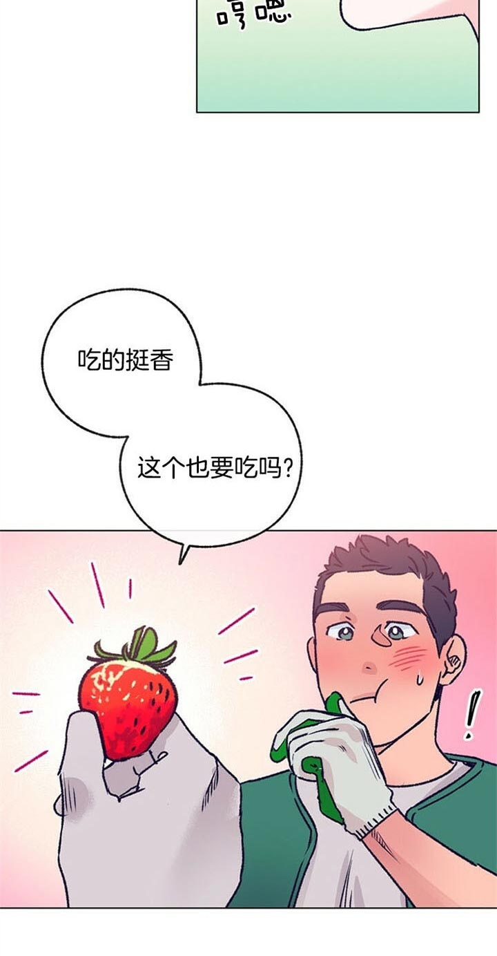 《恋与拖拉机少年》漫画最新章节第94话免费下拉式在线观看章节第【13】张图片