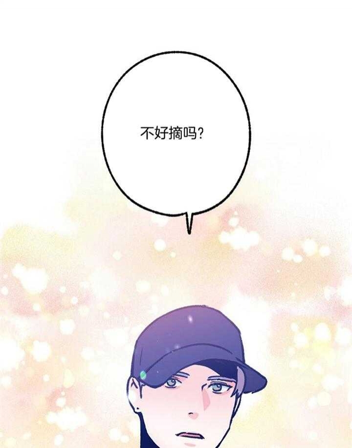 《恋与拖拉机少年》漫画最新章节第98话免费下拉式在线观看章节第【29】张图片