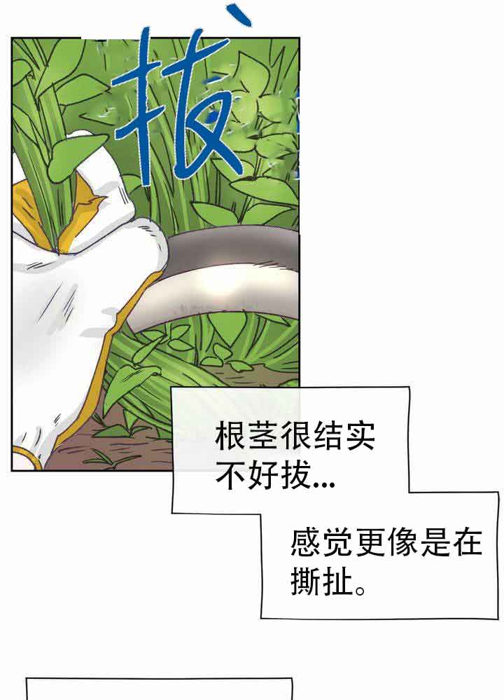 《恋与拖拉机少年》漫画最新章节第12话免费下拉式在线观看章节第【15】张图片