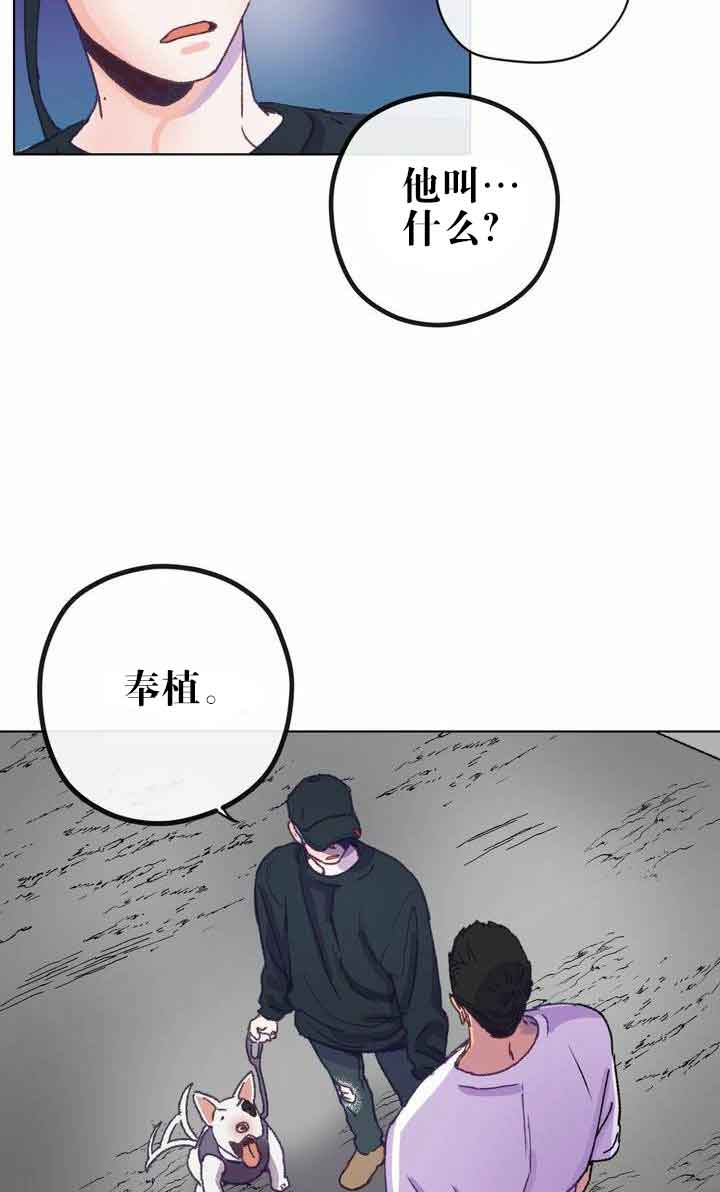 《恋与拖拉机少年》漫画最新章节第6话免费下拉式在线观看章节第【5】张图片