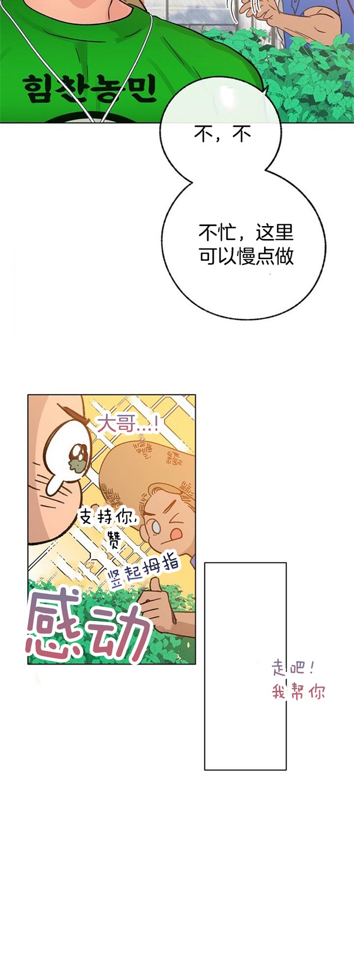 《恋与拖拉机少年》漫画最新章节第65话免费下拉式在线观看章节第【6】张图片