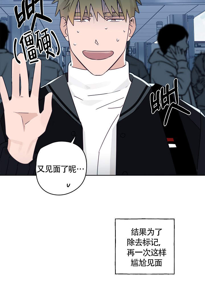 《完美的逮捕》漫画最新章节第51话免费下拉式在线观看章节第【19】张图片