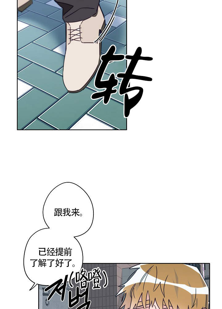 《完美的逮捕》漫画最新章节第51话免费下拉式在线观看章节第【22】张图片