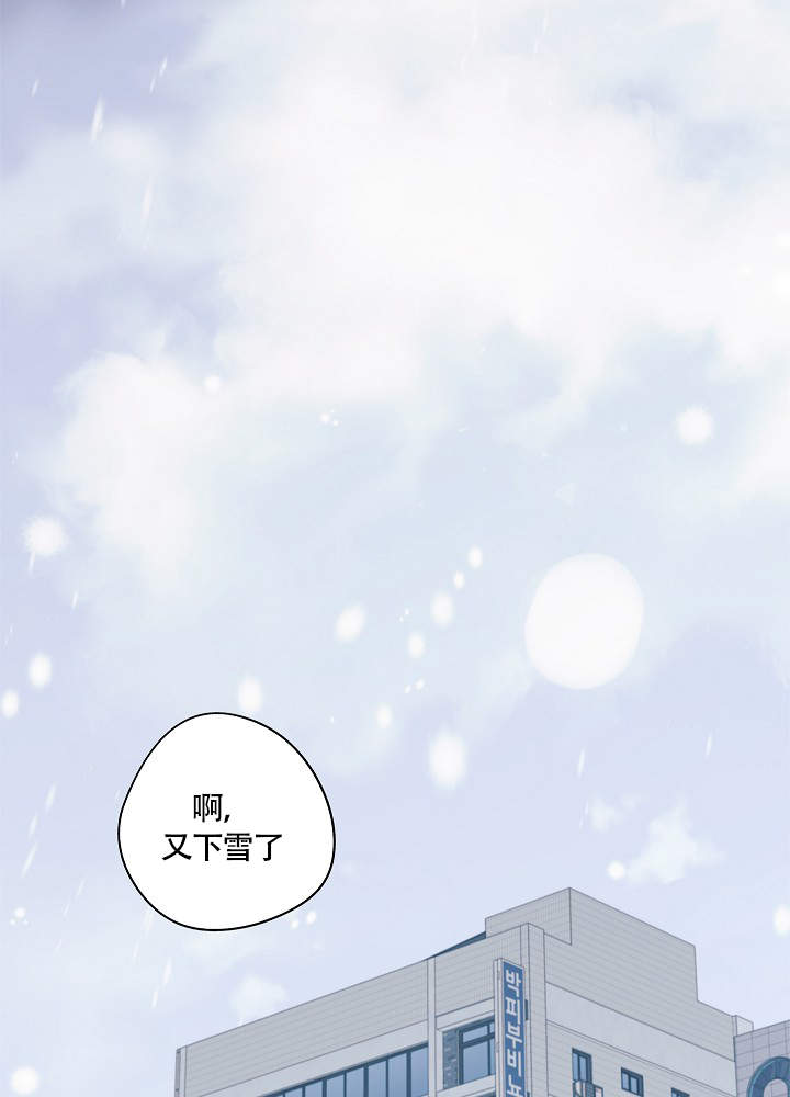 《完美的逮捕》漫画最新章节第64话免费下拉式在线观看章节第【11】张图片