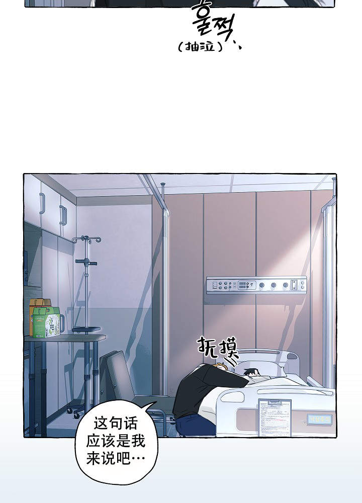 《完美的逮捕》漫画最新章节第42话免费下拉式在线观看章节第【15】张图片