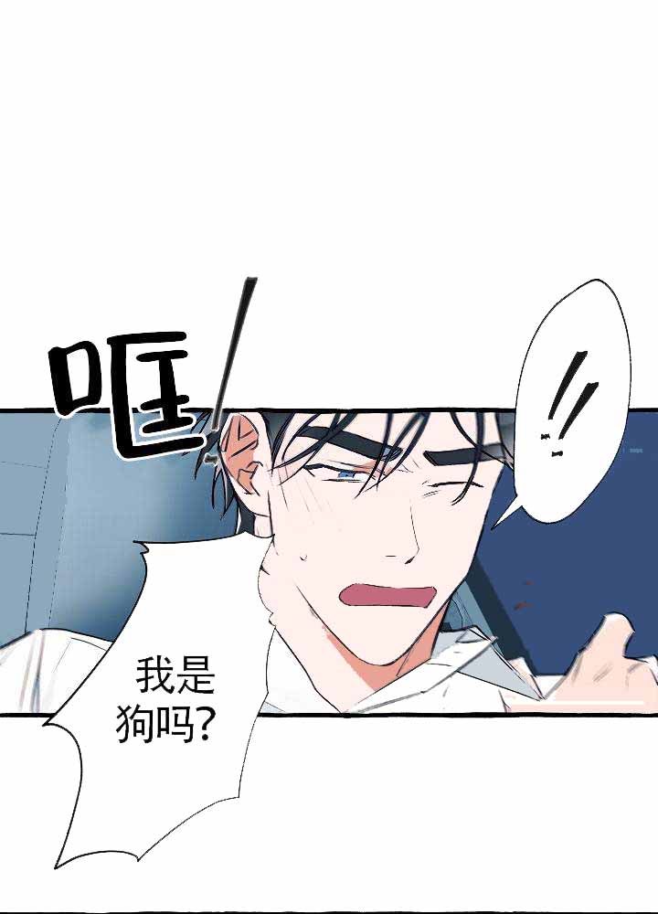 《完美的逮捕》漫画最新章节第19话免费下拉式在线观看章节第【5】张图片