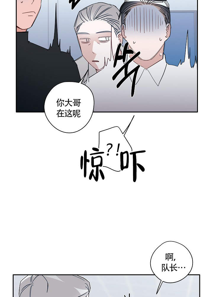 《完美的逮捕》漫画最新章节第65话免费下拉式在线观看章节第【31】张图片