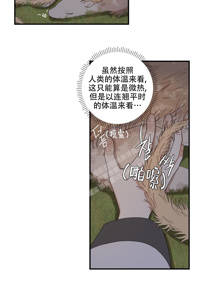 《铺满金钟花的路》漫画最新章节第17话免费下拉式在线观看章节第【5】张图片