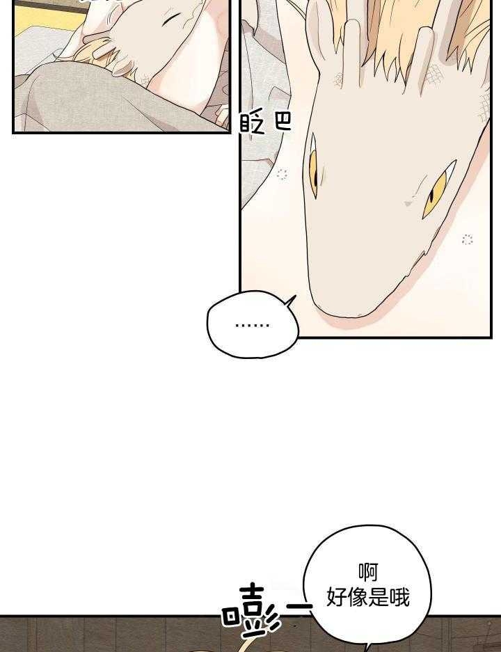 《铺满金钟花的路》漫画最新章节第31话免费下拉式在线观看章节第【20】张图片