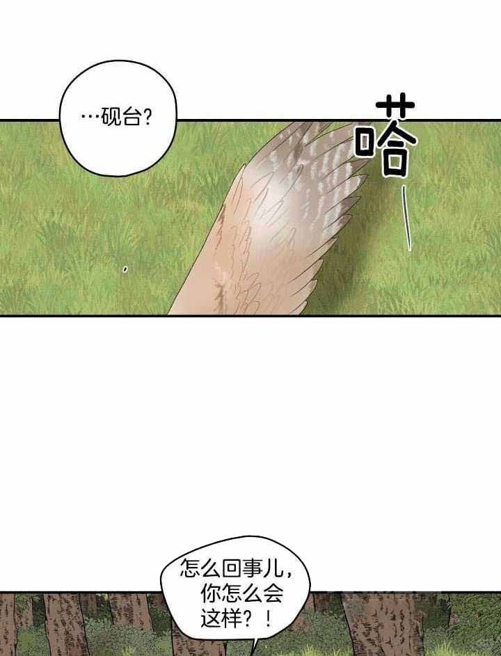 《铺满金钟花的路》漫画最新章节第41话免费下拉式在线观看章节第【5】张图片