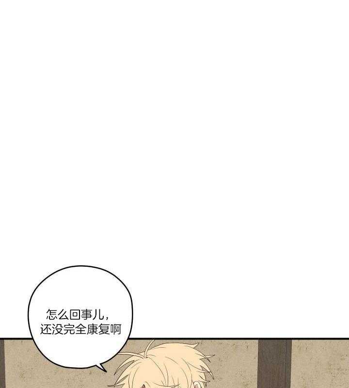 《铺满金钟花的路》漫画最新章节第36话免费下拉式在线观看章节第【33】张图片