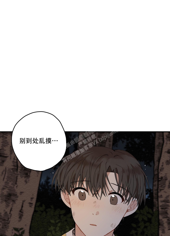 《铺满金钟花的路》漫画最新章节第17话免费下拉式在线观看章节第【6】张图片