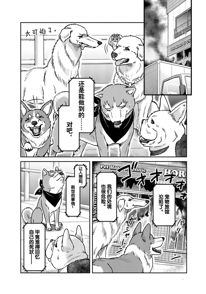 《织田肉桂信长》漫画最新章节第123话免费下拉式在线观看章节第【10】张图片