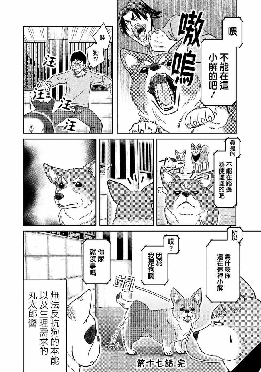 《织田肉桂信长》漫画最新章节第17话免费下拉式在线观看章节第【8】张图片