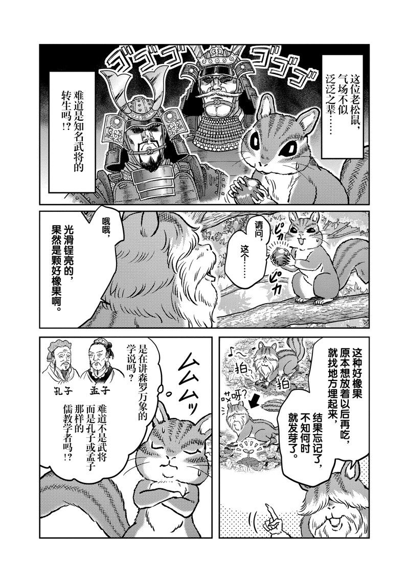 《织田肉桂信长》漫画最新章节第113话免费下拉式在线观看章节第【5】张图片