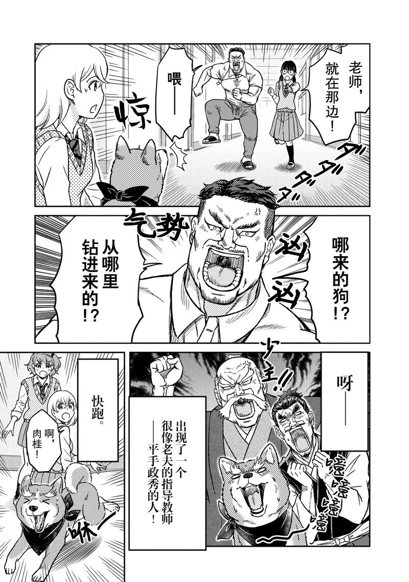 《织田肉桂信长》漫画最新章节第110话免费下拉式在线观看章节第【5】张图片