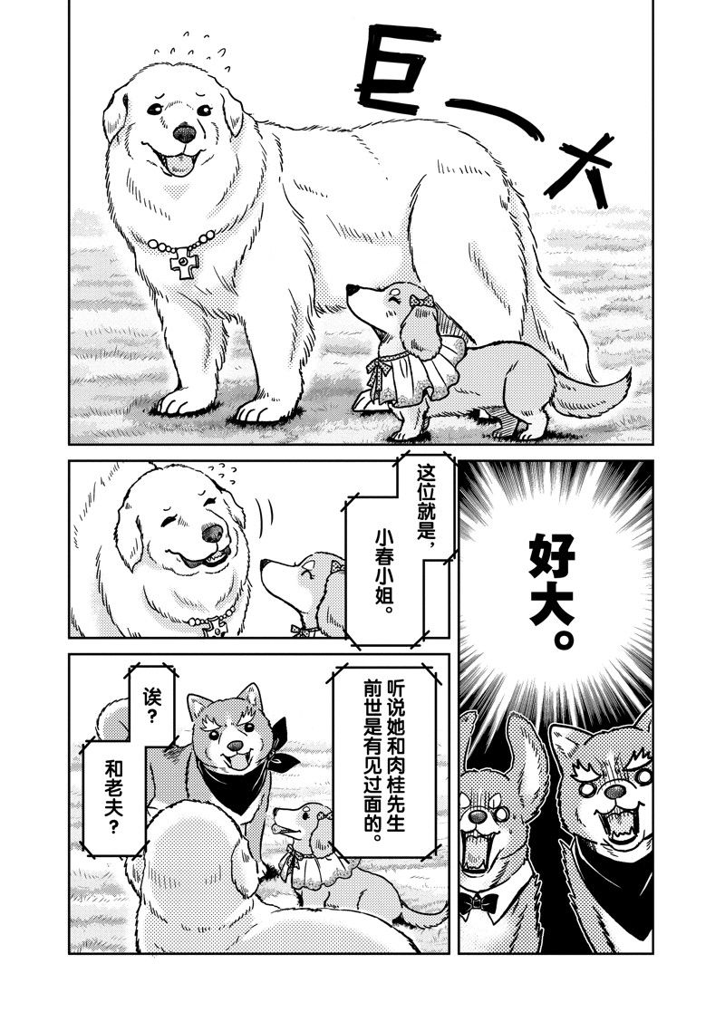 《织田肉桂信长》漫画最新章节第106话免费下拉式在线观看章节第【5】张图片