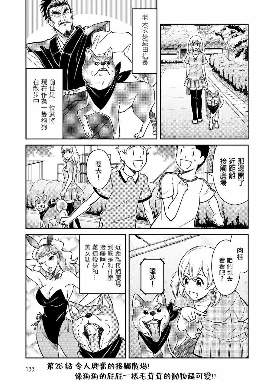 《织田肉桂信长》漫画最新章节第28话免费下拉式在线观看章节第【1】张图片