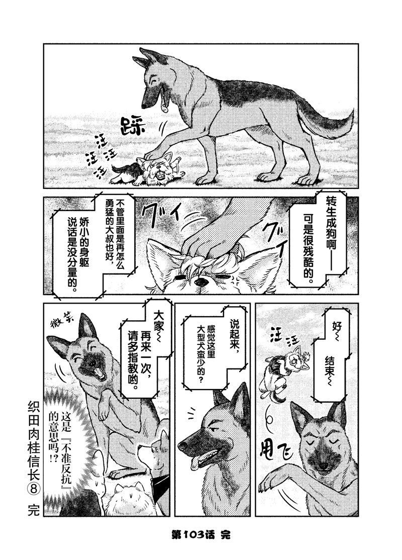 《织田肉桂信长》漫画最新章节第103话免费下拉式在线观看章节第【12】张图片