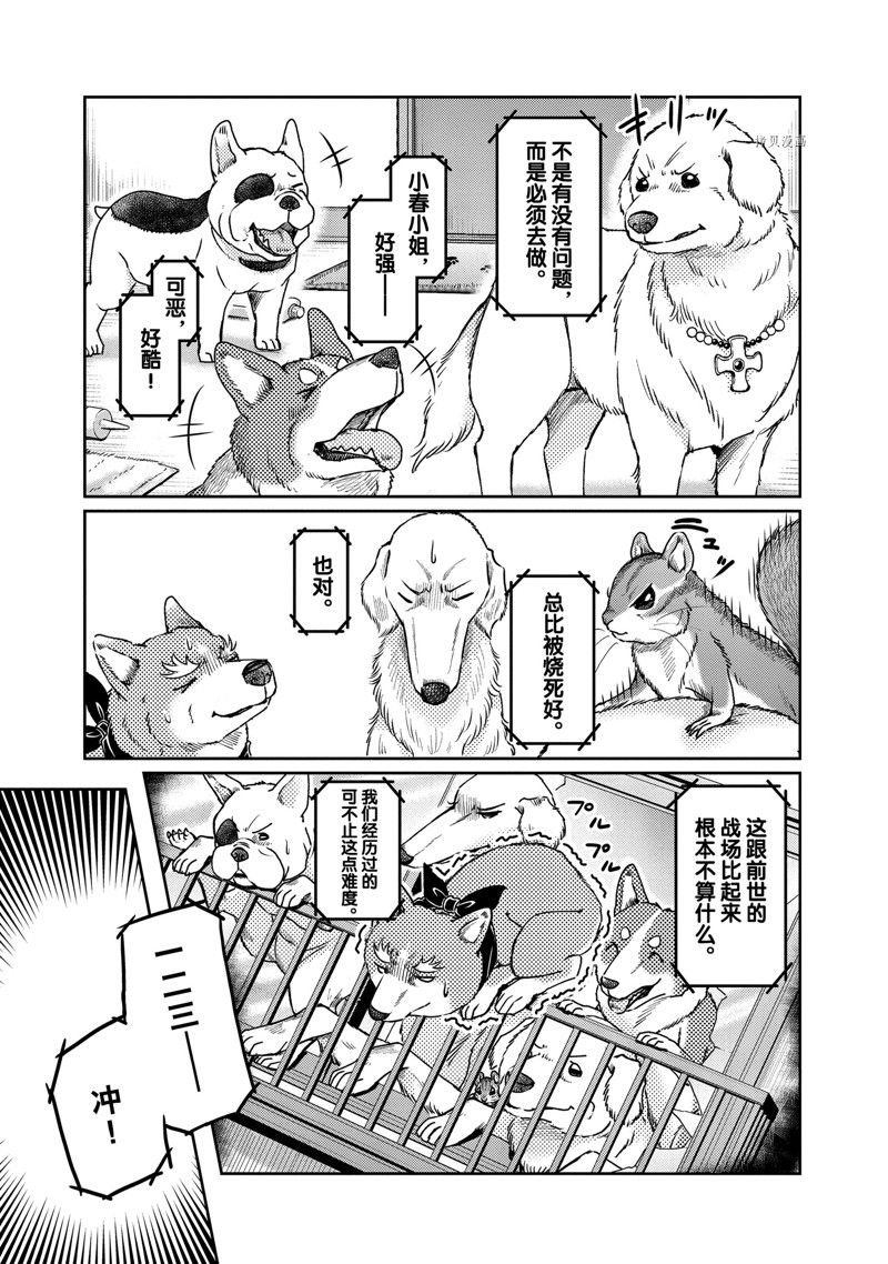 《织田肉桂信长》漫画最新章节第123话免费下拉式在线观看章节第【7】张图片