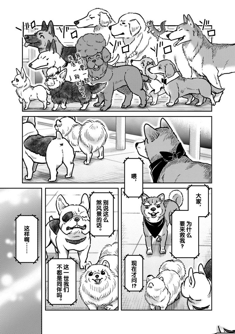 《织田肉桂信长》漫画最新章节第123话免费下拉式在线观看章节第【15】张图片