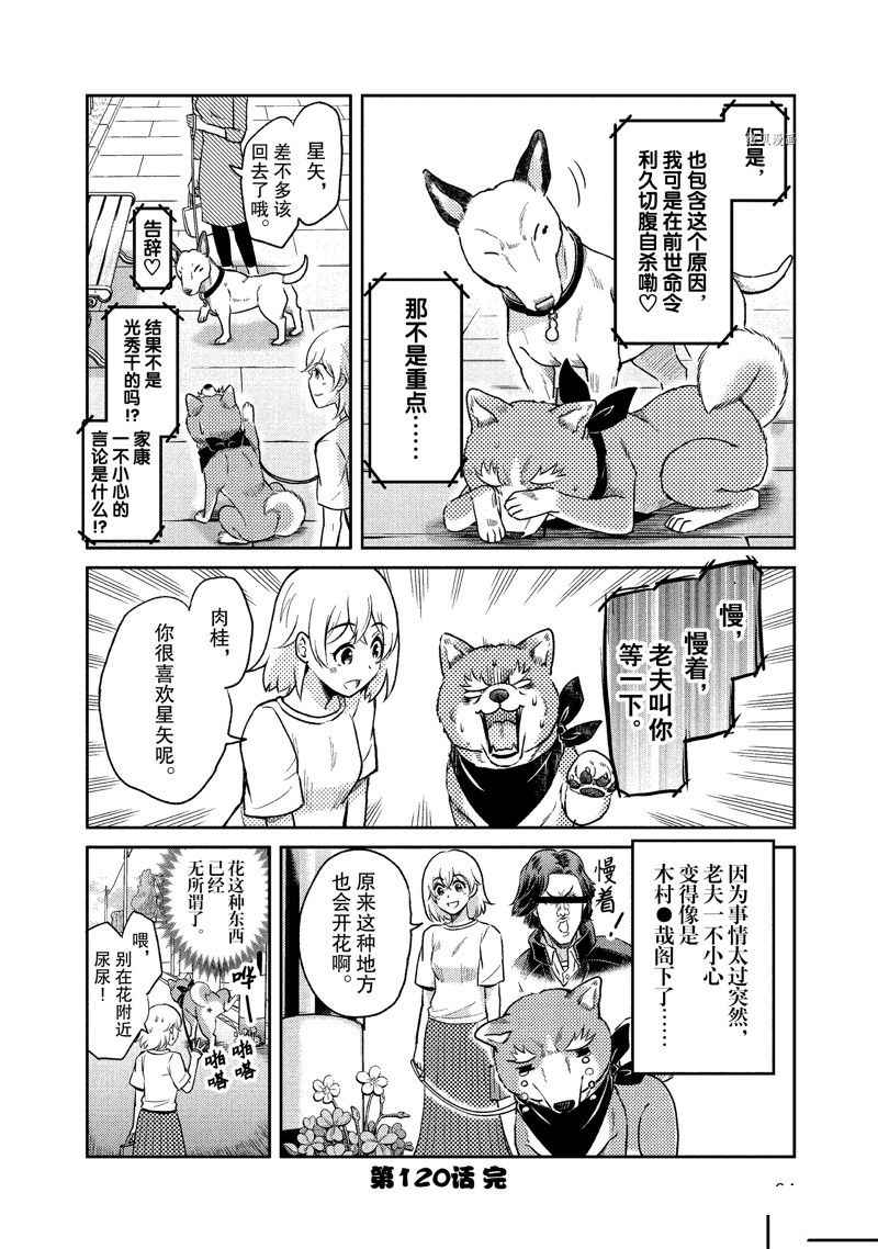 《织田肉桂信长》漫画最新章节第120话免费下拉式在线观看章节第【12】张图片