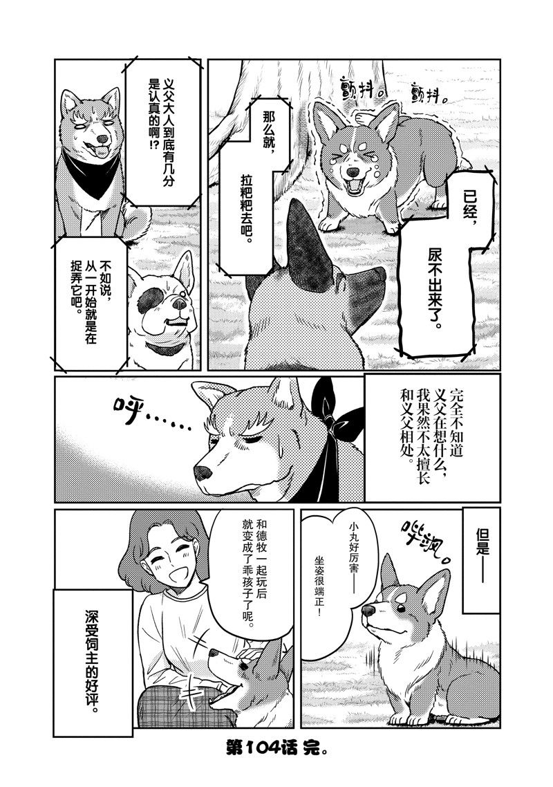 《织田肉桂信长》漫画最新章节第104话免费下拉式在线观看章节第【16】张图片